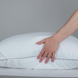 All Down Pillow