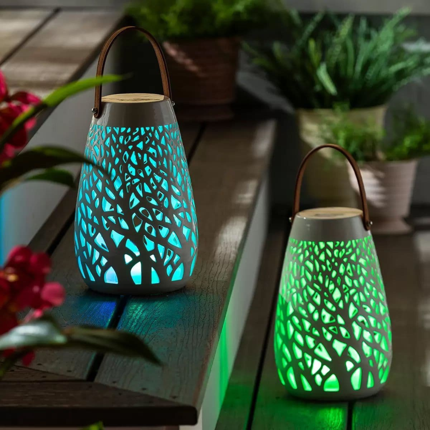 Evergreen LED Lanterns