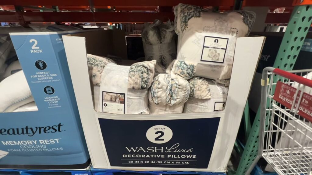 WashLuxe Decorative Pillow